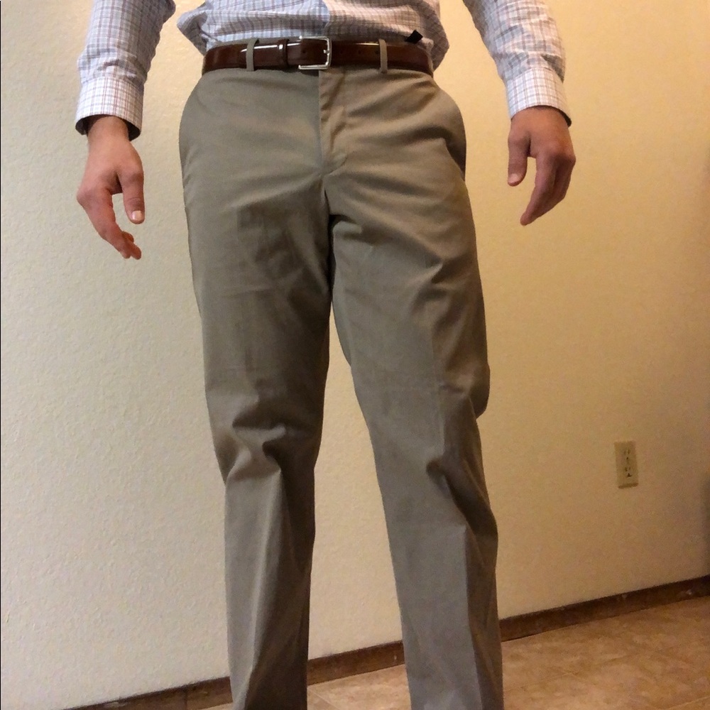 Express dress pants